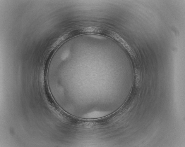 X0000115450482200911251310