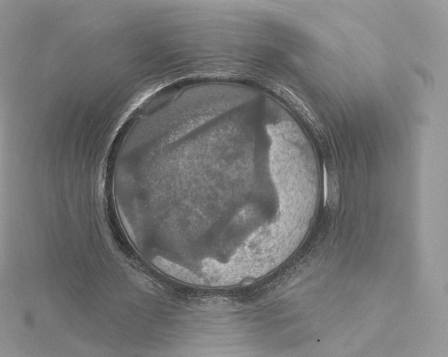 X0000115450483200911251310