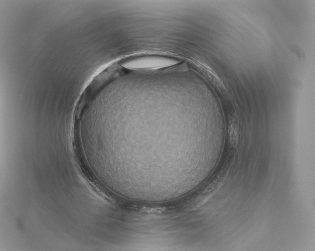 X0000115450484200911251310