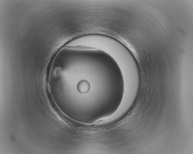 X0000115450485200911251310