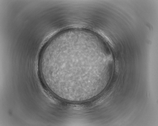 X0000115450486200911251310