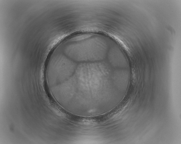 X0000115450487200911251310