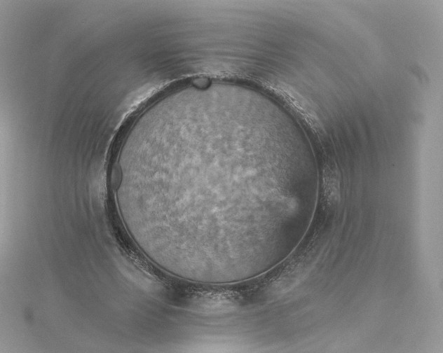 X0000115450488200911251310