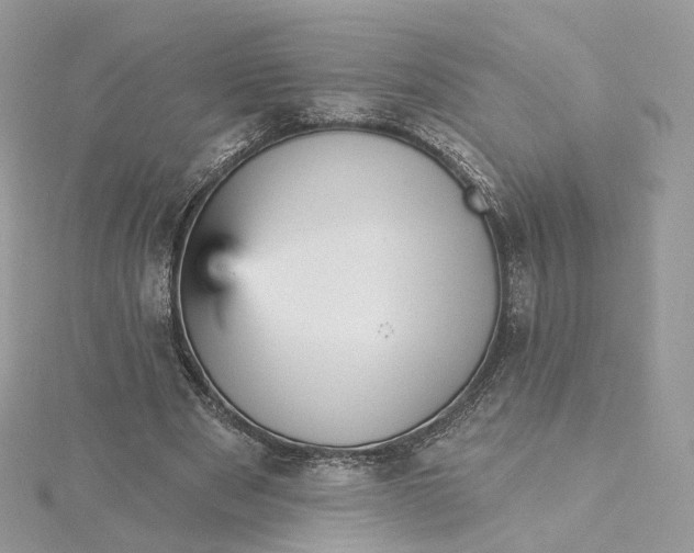 X0000115450489200911251310