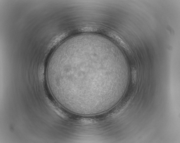 X0000115450490200911251310