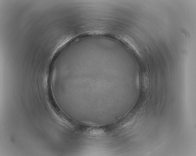 X0000115450491200911251310