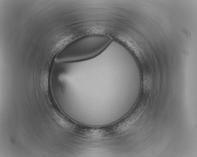 X0000115450493200911251310