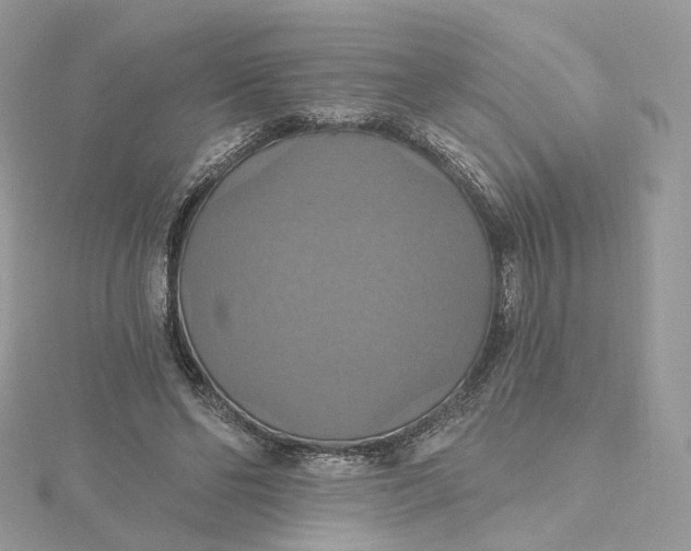 X0000115450494200911251310