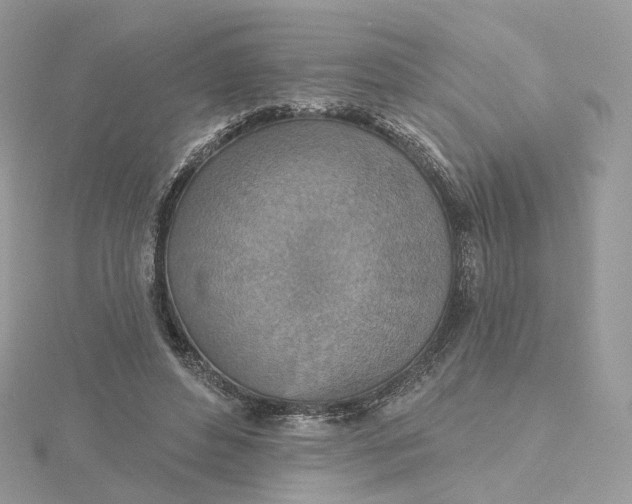 X0000115450496200911251310