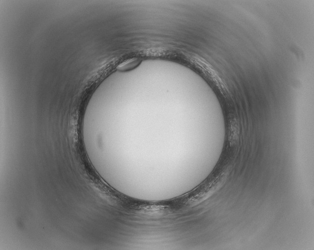 X0000115450497200911251310