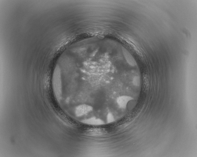 X0000115450499200911251310