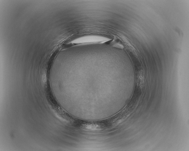 X0000115450500200911251310