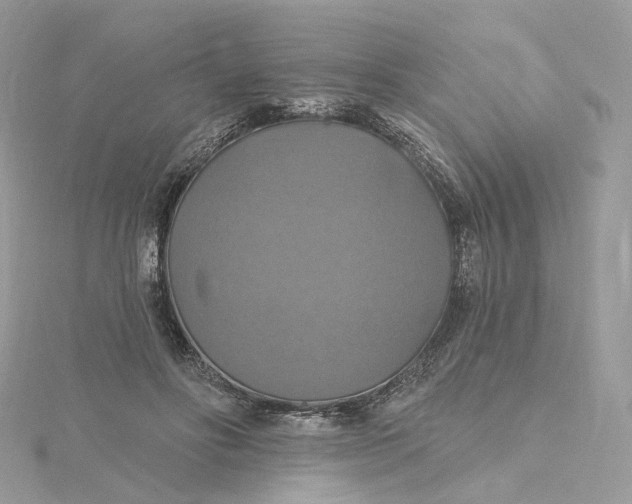 X0000115450502200911251310