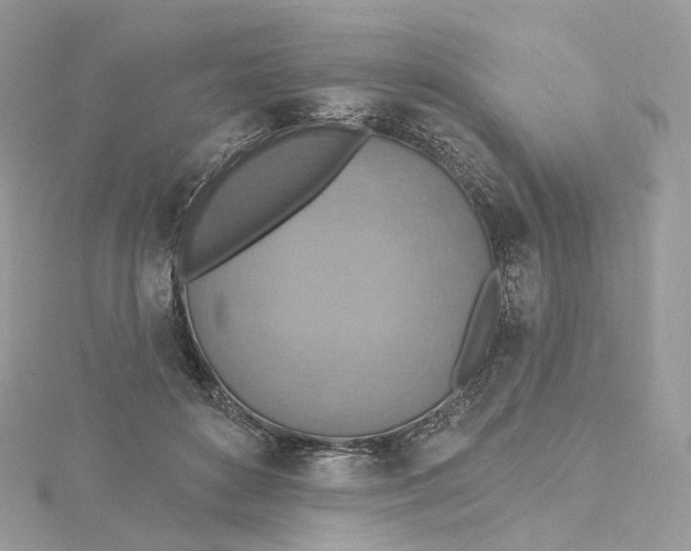 X0000115450504200911251310