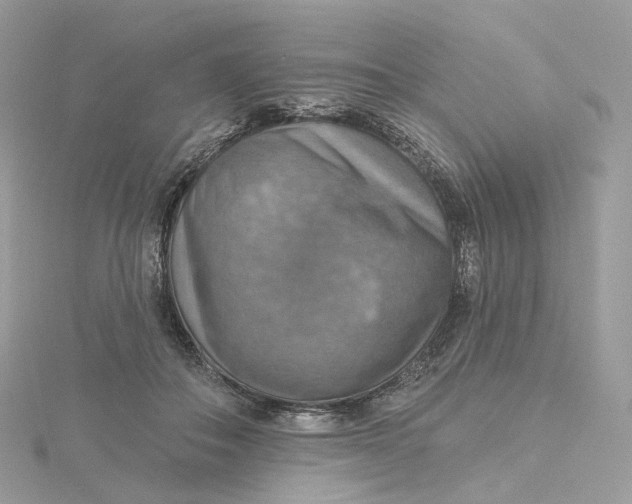 X0000115450506200911251310