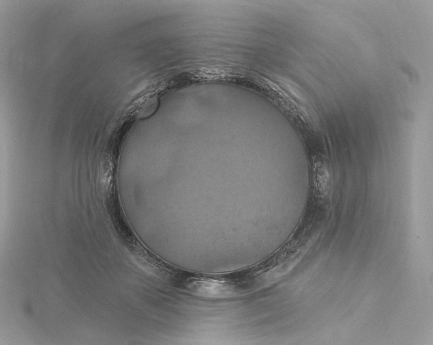 X0000115450507200911251310