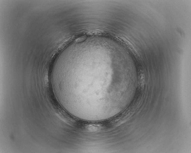 X0000115450508200911251310