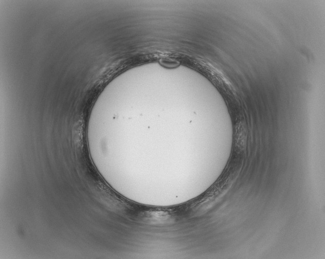 X0000115450509200911251310