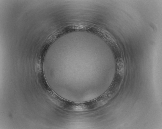 X0000115450510200911251310