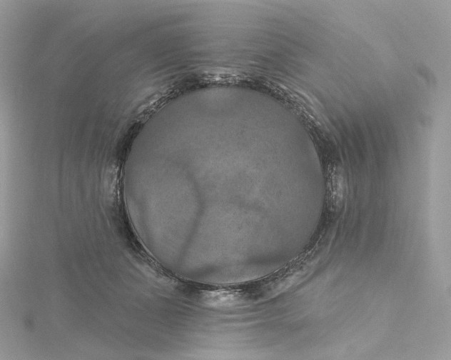 X0000115450511200911251310