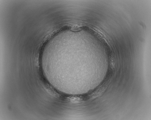 X0000115450512200911251310