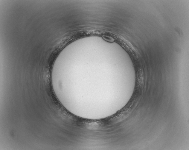 X0000115450513200911251310