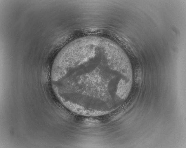 X0000115450515200911251310