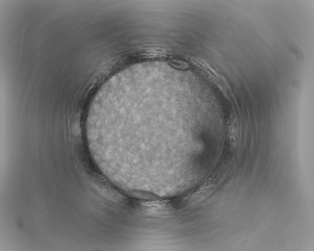 X0000115450516200911251310