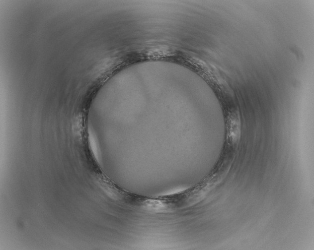 X0000115450519200911251310