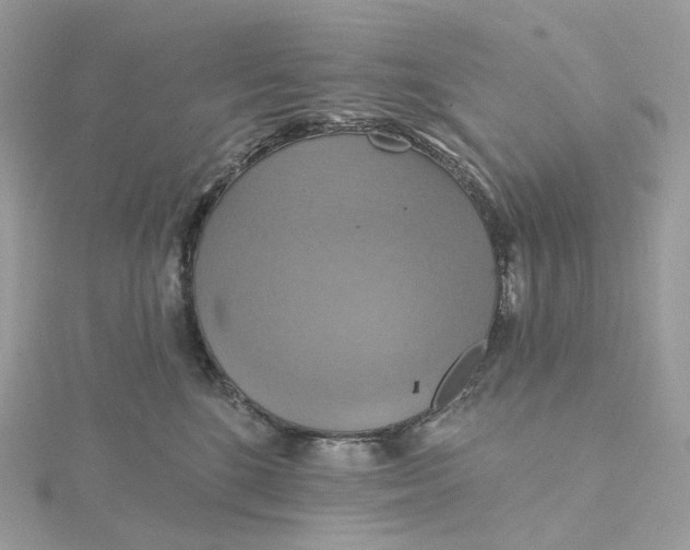 X0000115450520200911251310