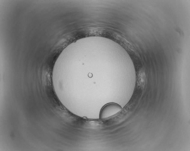 X0000115450522200911251310