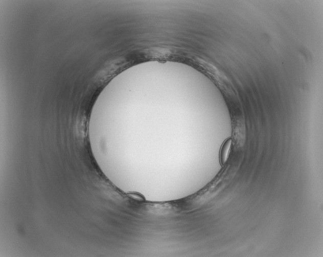 X0000115450525200911251309