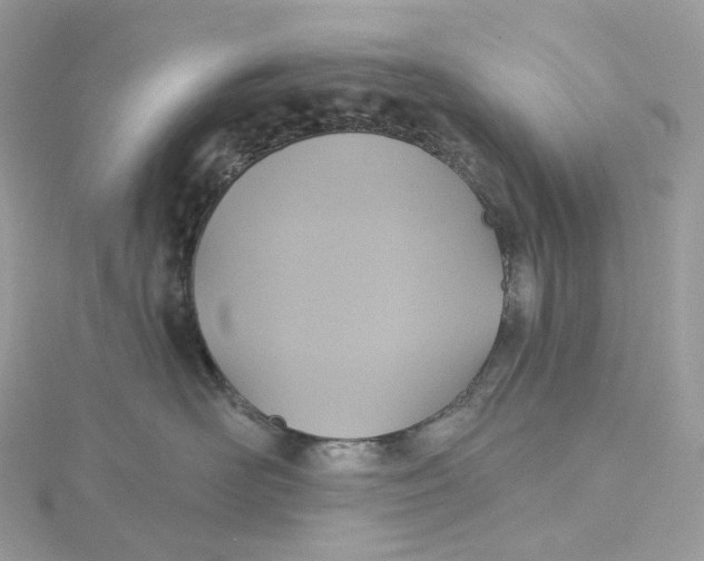 X0000115450526200911251309