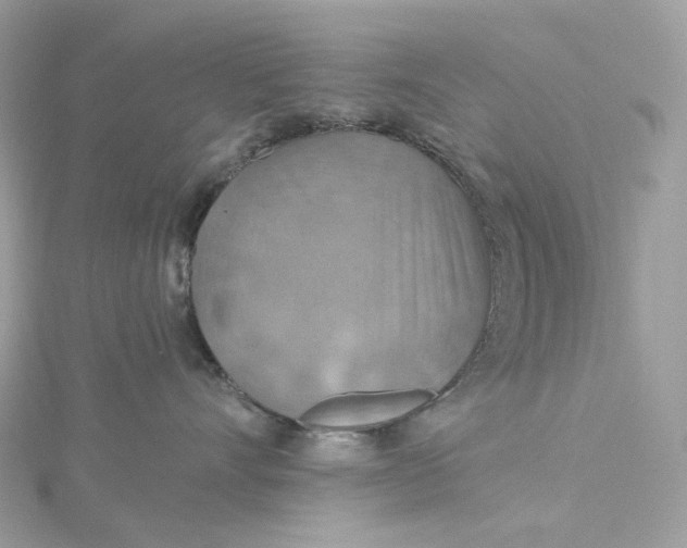 X0000115450528200911251309