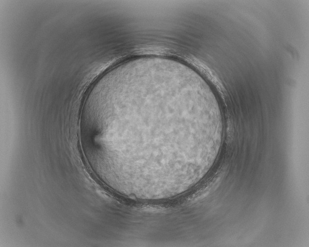 X0000115450529200911251309