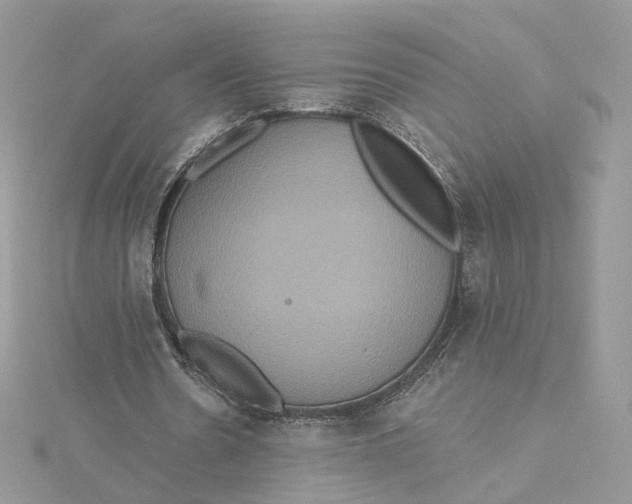 X0000115450530200911251309