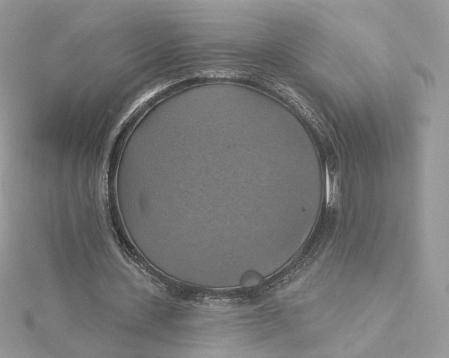 X0000115450531200911251309