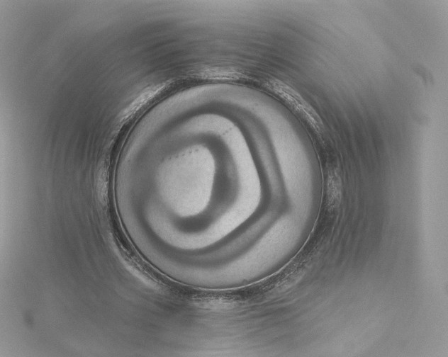 X0000115450533200911251309