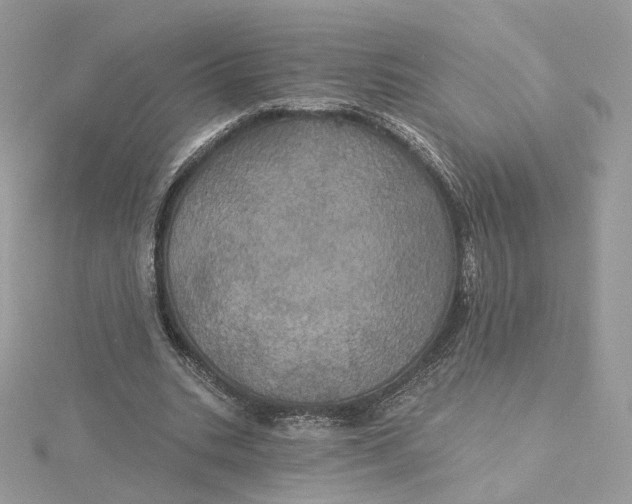 X0000115450535200911251309