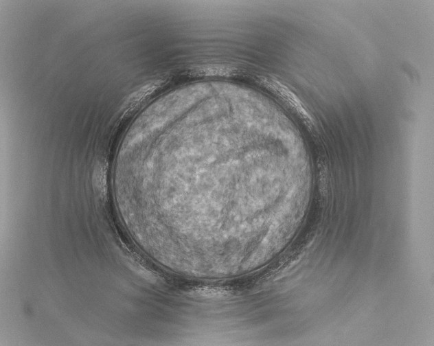 X0000115450537200911251309