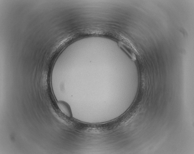 X0000115450538200911251309