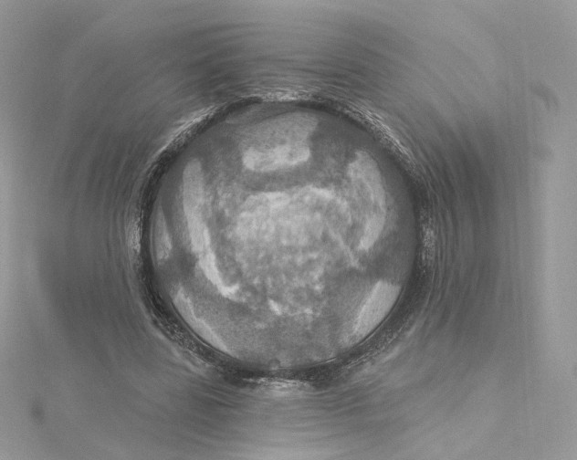 X0000115450539200911251309