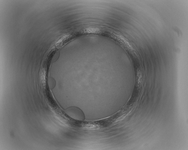 X0000115450542200911251309