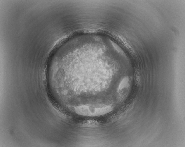 X0000115450543200911251309