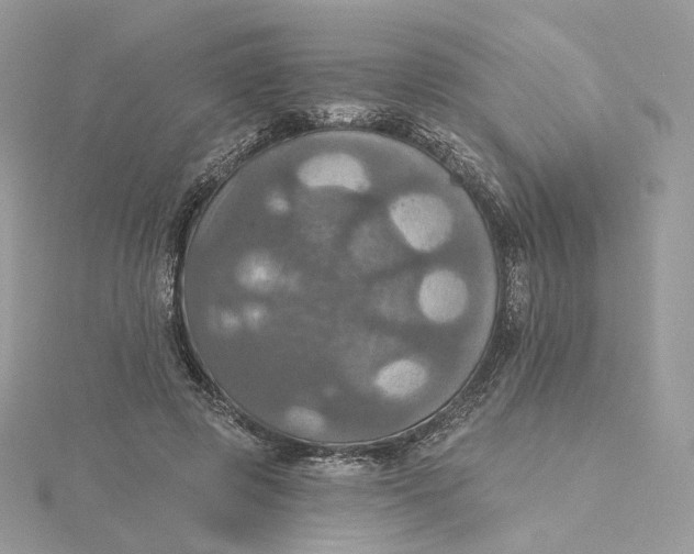 X0000115450545200911251309