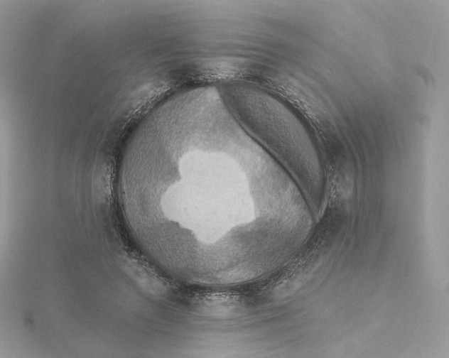 X0000115450546200911251309