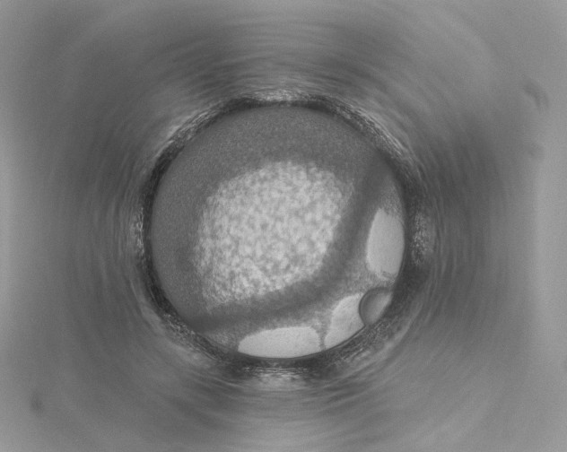 X0000115450547200911251309