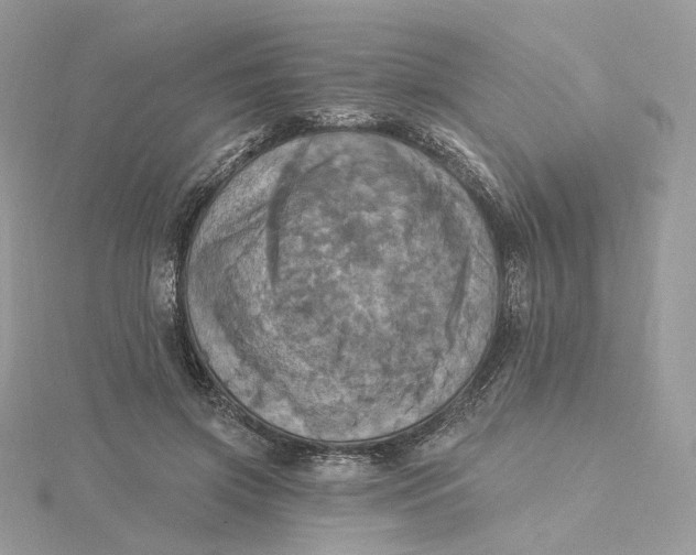 X0000115450549200911251309