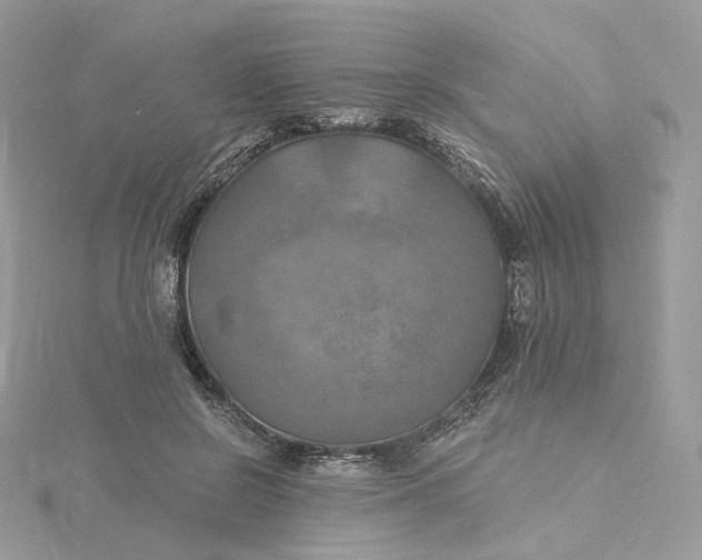 X0000115450550200911251309