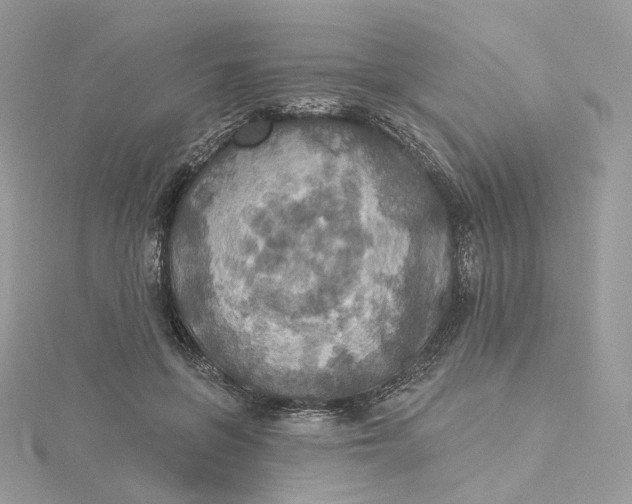 X0000115450551200911251309